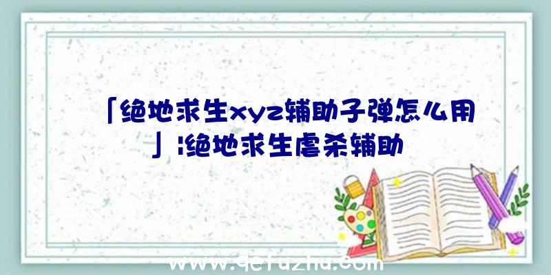 「绝地求生xyz辅助子弹怎么用」|绝地求生虐杀辅助